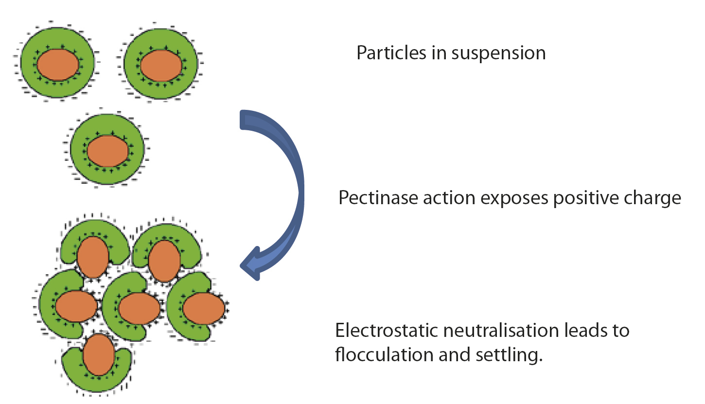Flotation when gravity lets you down Wineland
