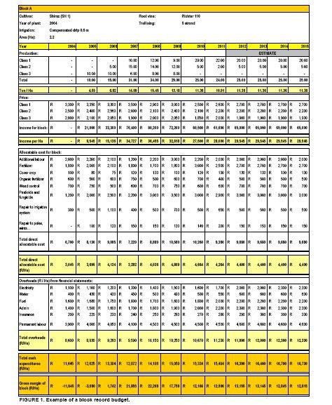 cash flow budget example