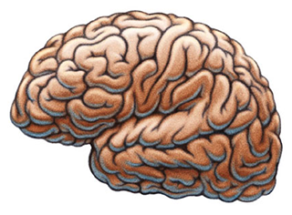The science of labels