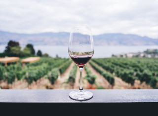 Heritage meets vintage at Rustenberg Estate