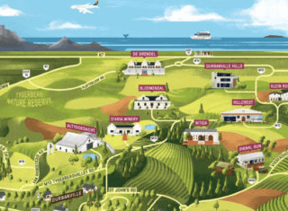 A sensory overview of Durbanville’s Sauvignon Blanc