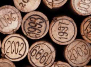 SA’s ongoing drought: what does it mean for wine investors?