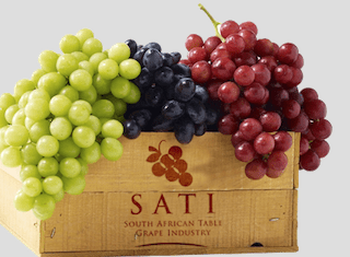 Table grape farm in Paarl opens purpose built R30 million agri-worker housing development