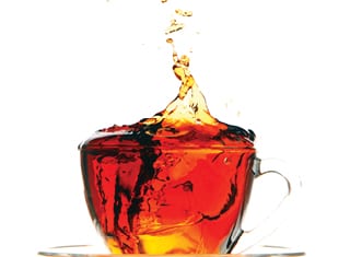 Rooibos hits the big time