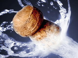 Domaine des Dieux, Cederberg and Kleine Zalze shine at Champagne & Sparkling Wine World Champs