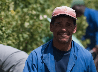 The Western Cape has created 95 000 new jobs in the past year