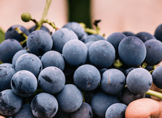 Global wine harvest bounces back after 2017 lows