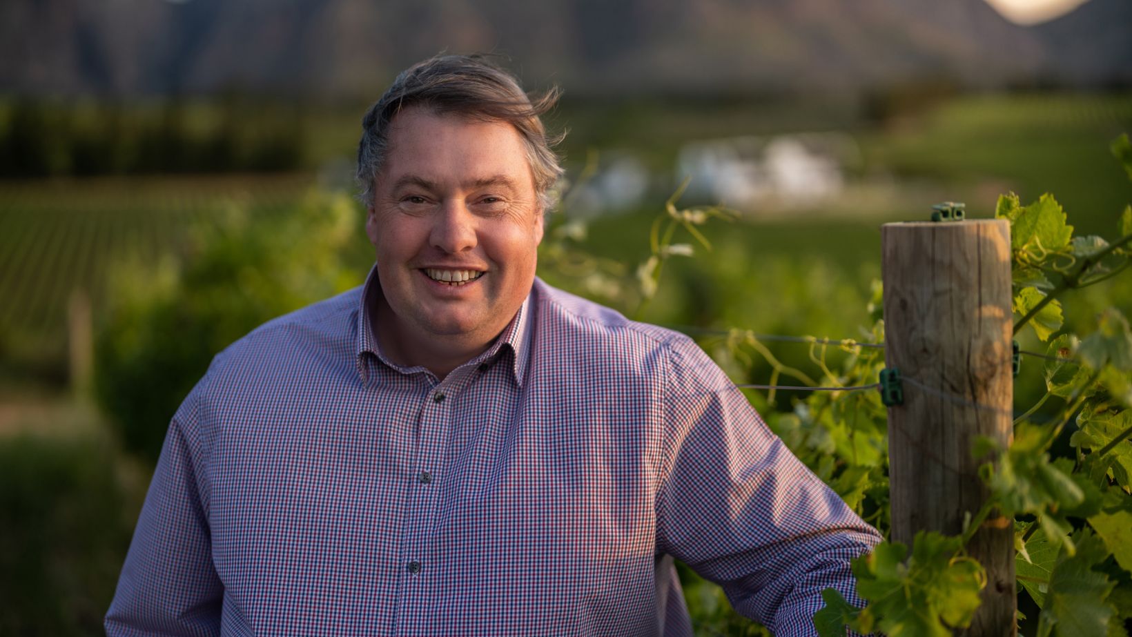 Brookdale Tim Rudd vines 001