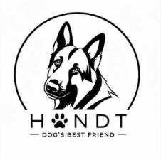 Hondt