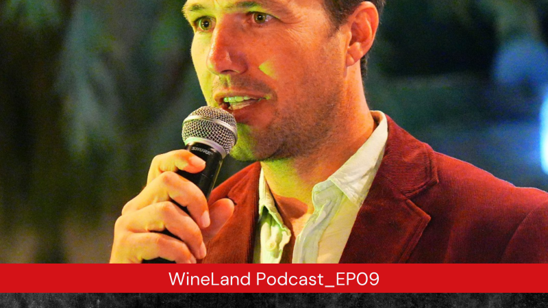 Matt Sterne Cover Image