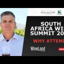 South Africa Wine Summit 2024 | WHY ATTEND?