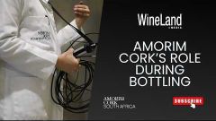 The role of Amorim Cork during bottling