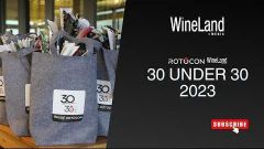 WineLand Media 30 Under 30 Awards | AFTER MOVIE 2023