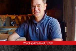 The master of Merlot