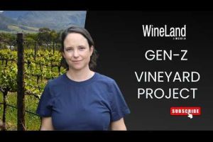 GEN Z Project | 2023