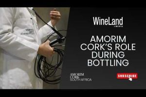 The role of Amorim Cork during bottling