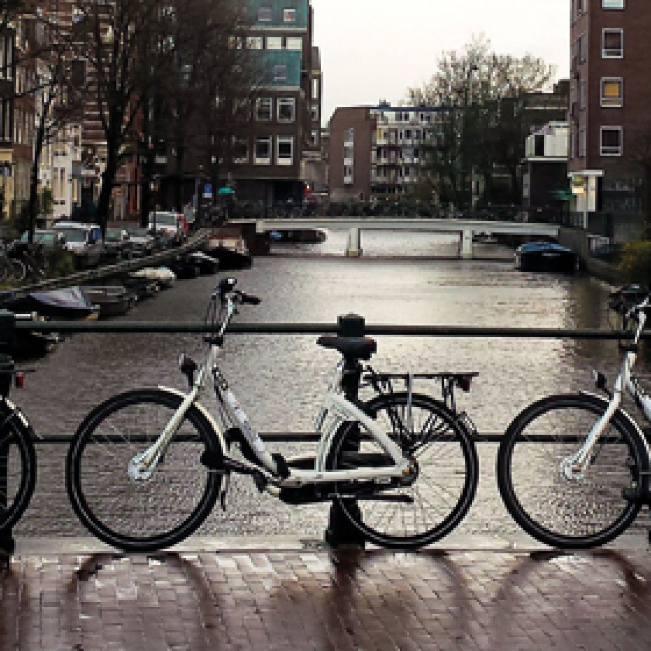 Amsterdamy