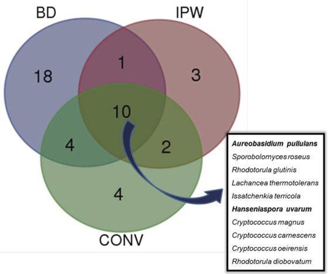 Fungal Communities figure2 otherimage