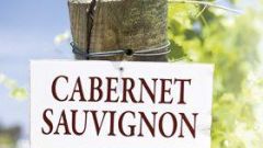Cabernet Sauvignon thumbnail