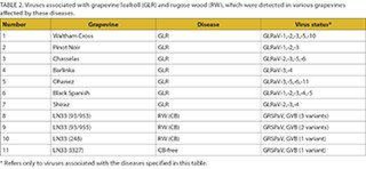 Evaluation of wine table2
