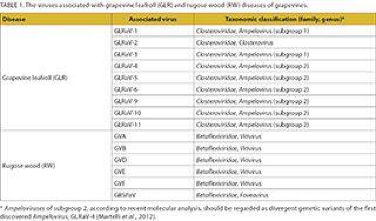 Evaluation of wine table1