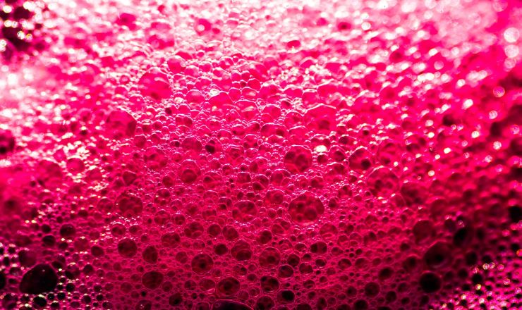 Monitering van wynfermentasies