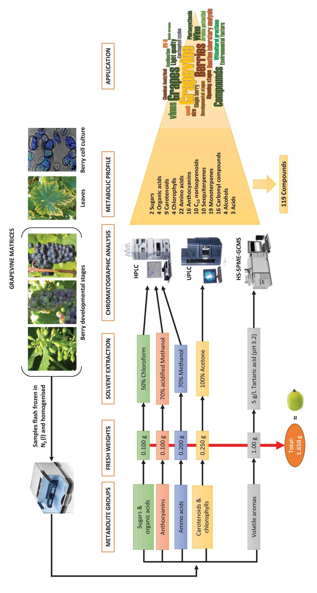 Analytical methods to measure grape metabolites Figure 1 2