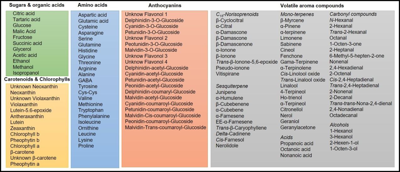 Analytical methods to measure grape metabolites Table 1