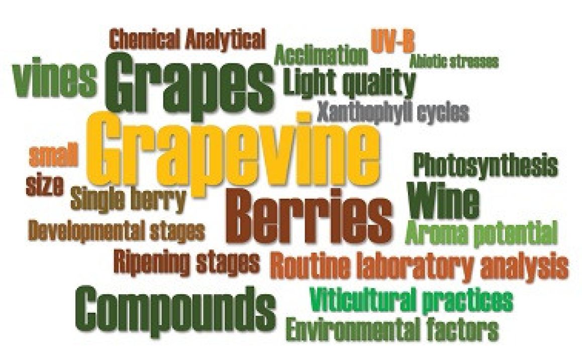 Analytical methods to measure grape metabolites 1