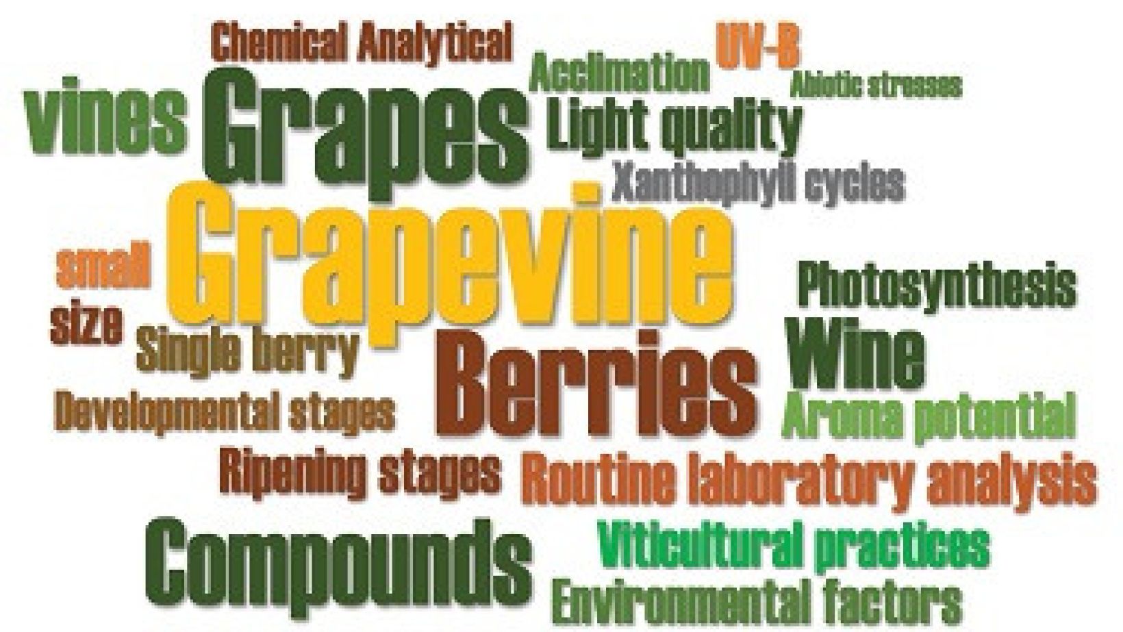 Analytical methods to measure grape metabolites 2
