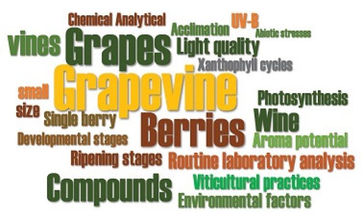 Analytical methods to measure grape metabolites 2