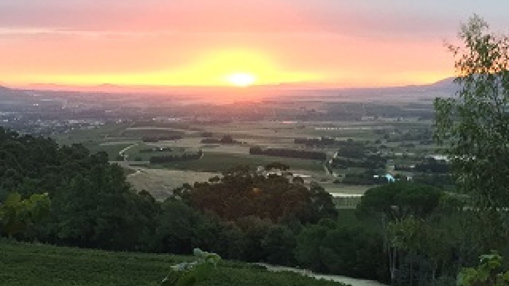 Linton Park sunset