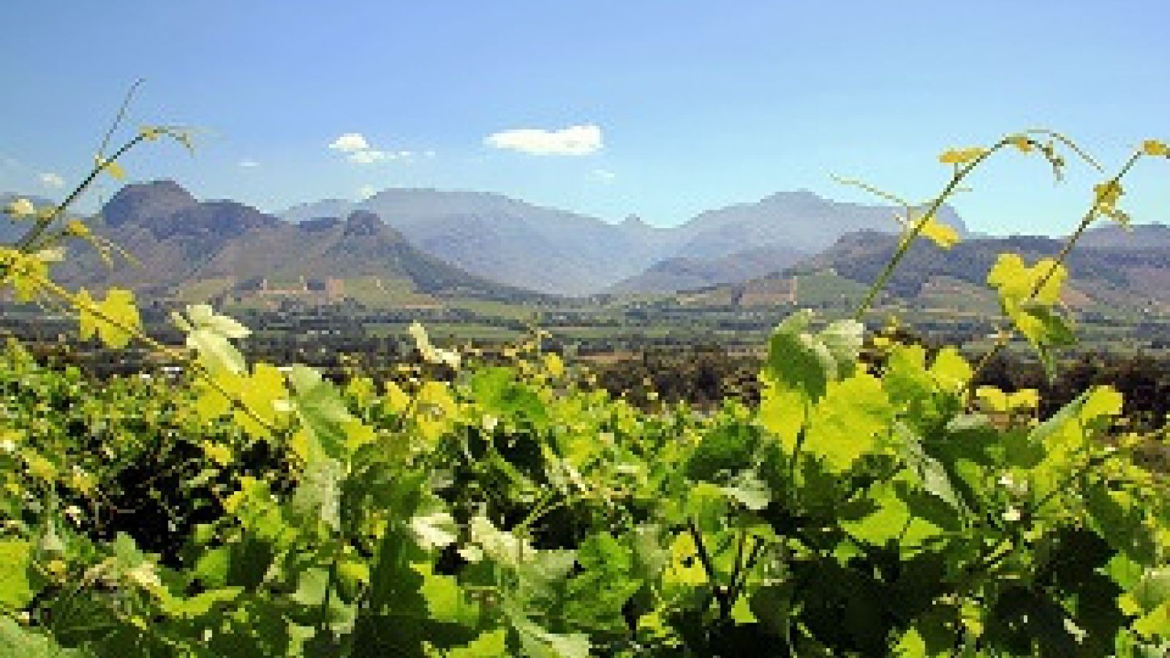 Land reform
