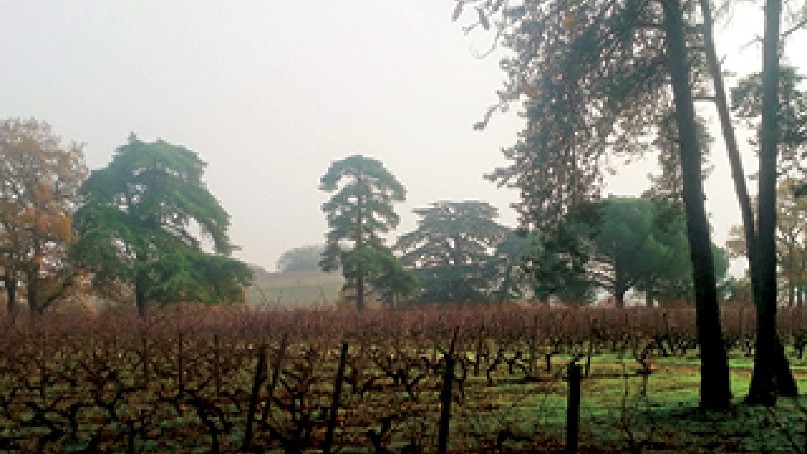 Lessons from the Loire