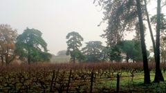 Lessons from the Loire