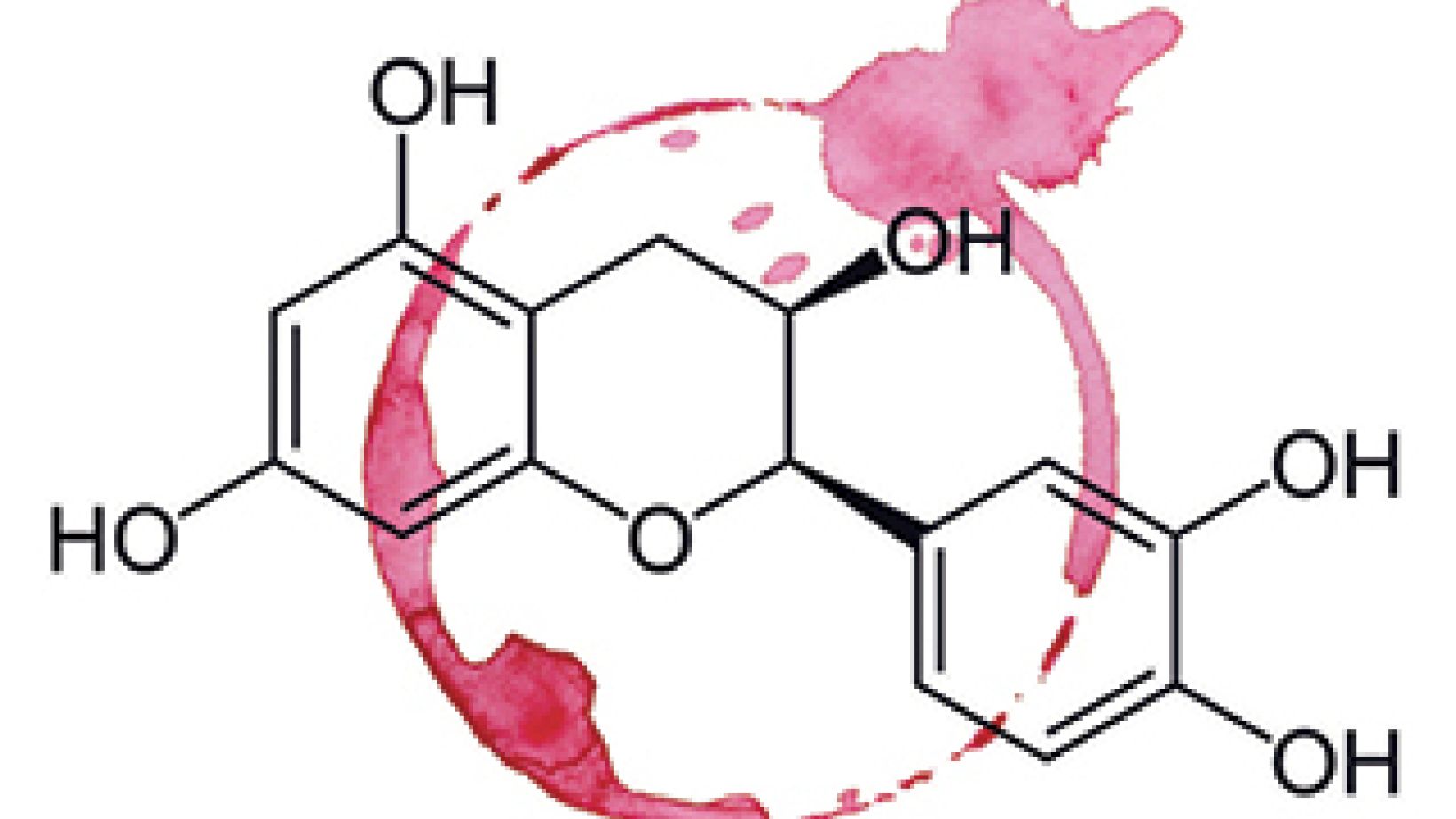 Understanding measuring tannins in red wines