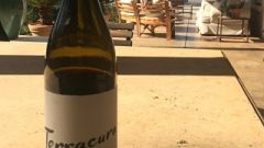 Terracura cropped bottle
