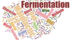 Using MLF to create buttery wine or not Illustration