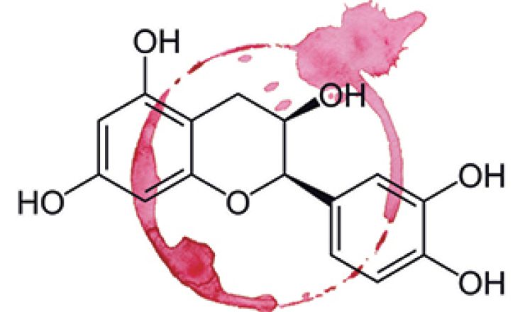 Understanding measuring tannins in red wines