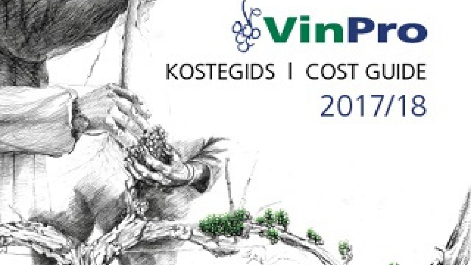 Cost Guide