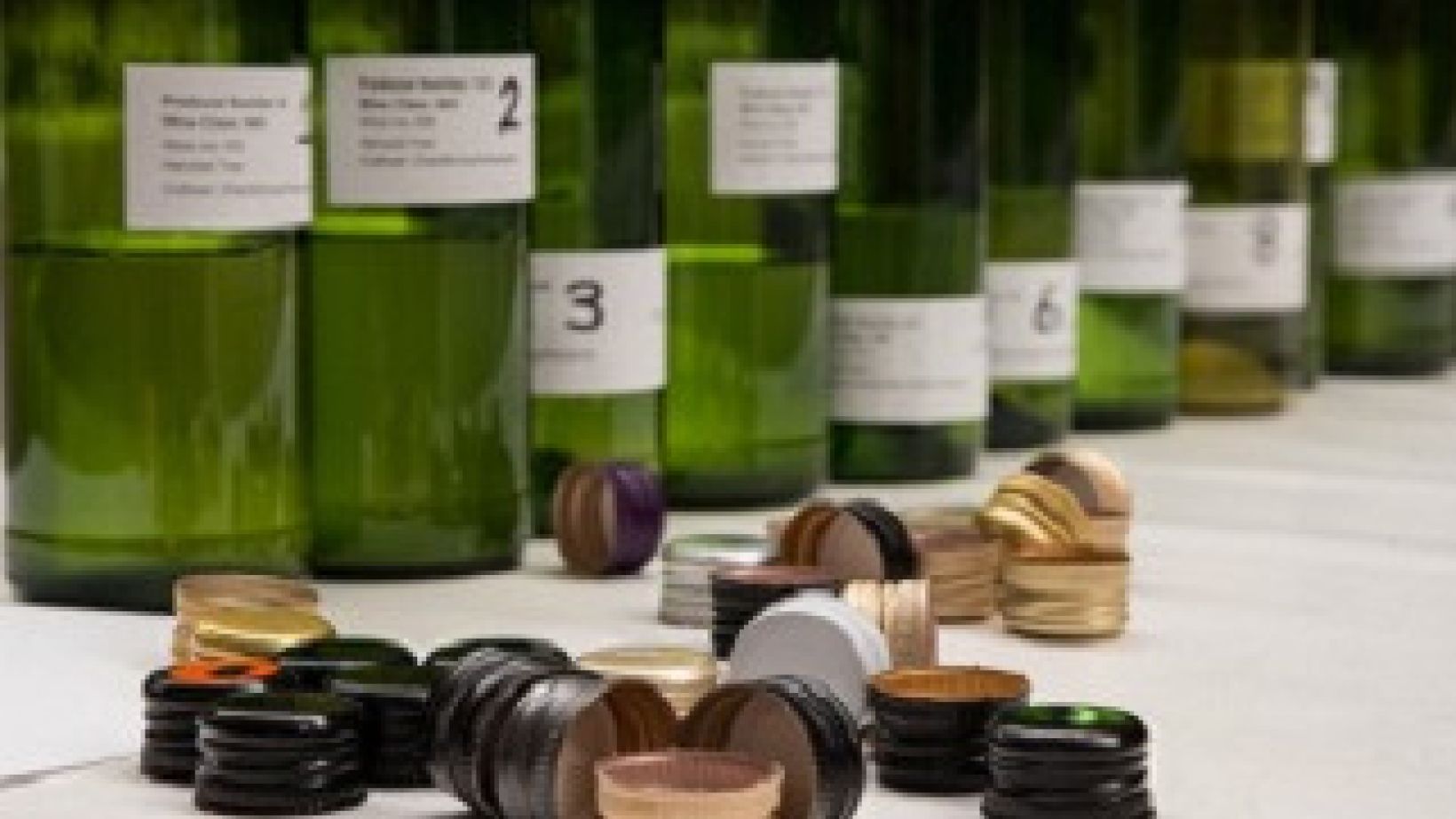 Young wines 2017 cropped