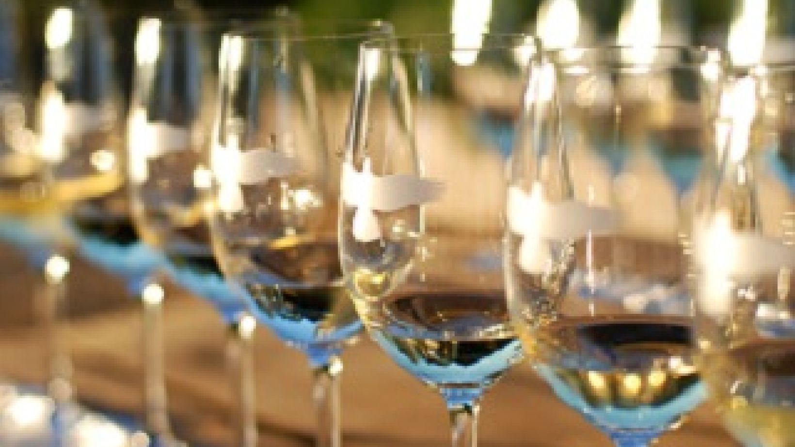 Chardonnay crop
