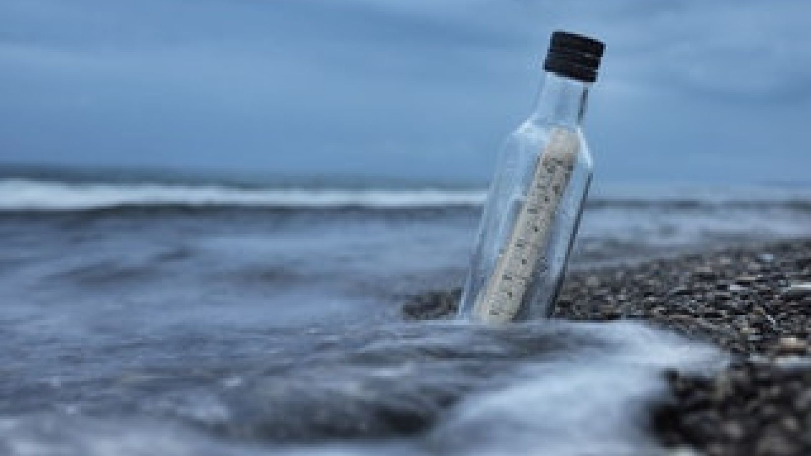 Bottle