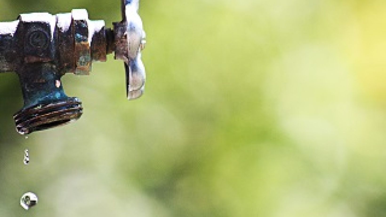 Water