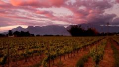 Breedekloof
