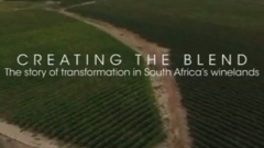 Creating the blend