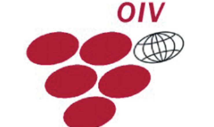 OIV