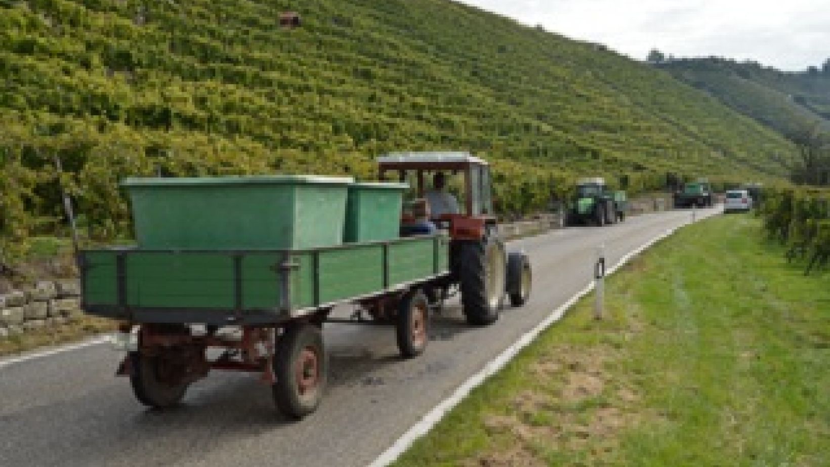 Heroicviticulture