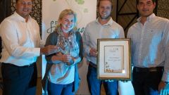 Diemersdal Sauvignon Blanc Trophy