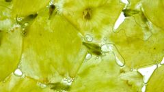 Sauv Blancfoto